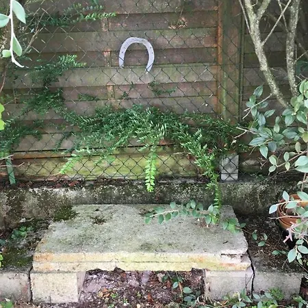 Дом отдыха 10g263