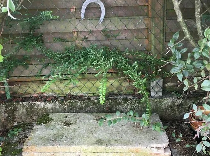 Hébergement de vacances 10g263